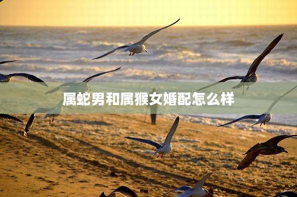 属蛇男和属猴女婚配怎么样