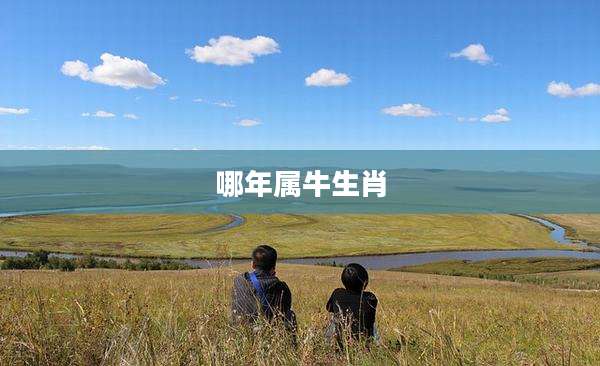 哪年属牛生肖