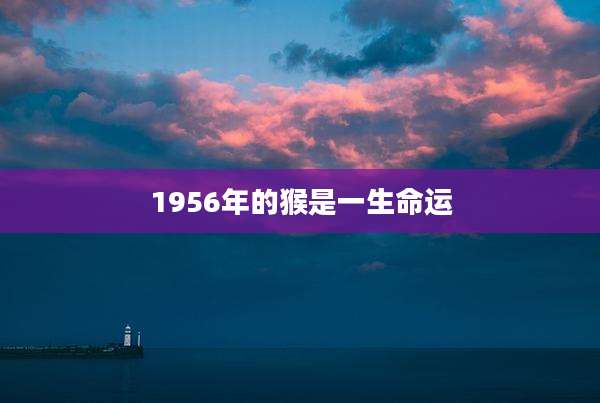 1956年的猴是一生命运