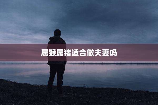 属猴属猪适合做夫妻吗