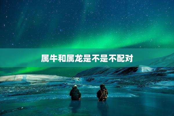 属牛和属龙是不是不配对