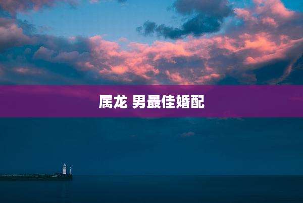 属龙 男最佳婚配
