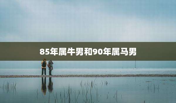 85年属牛男和90年属马男