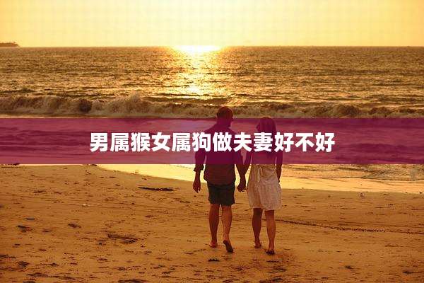 男属猴女属狗做夫妻好不好