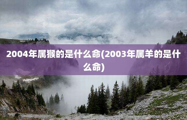 2004年属猴的是什么命(2003年属羊的是什么命)