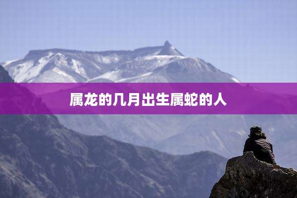 属龙的几月出生属蛇的人