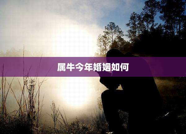属牛今年婚姻如何