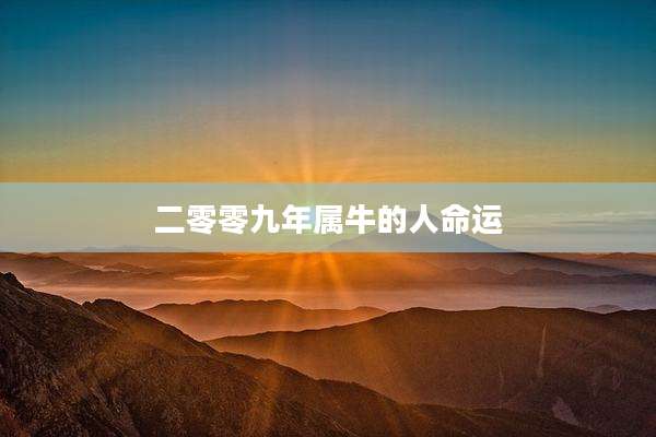 二零零九年属牛的人命运