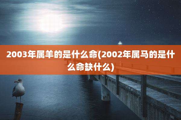 2003年属羊的是什么命(2002年属马的是什么命缺什么)