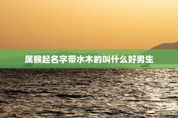 属猴起名字带水木的叫什么好男生