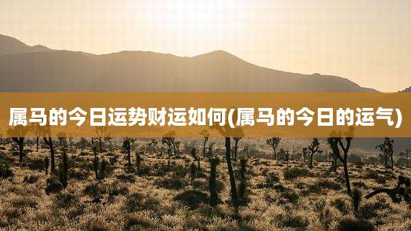 属马的今日运势财运如何(属马的今日的运气)