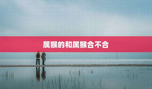 属猴的和属猴合不合