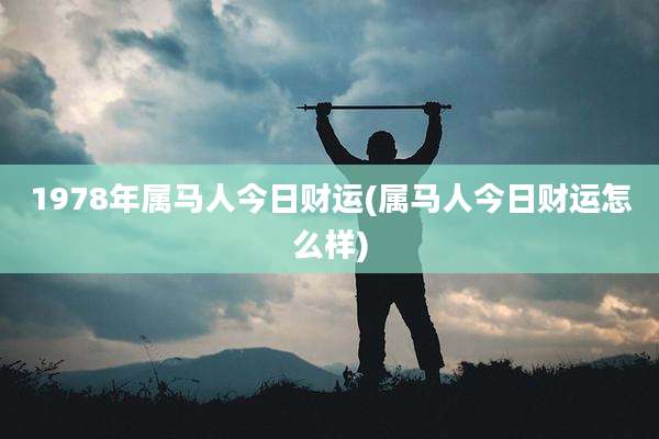 1978年属马人今日财运(属马人今日财运怎么样)