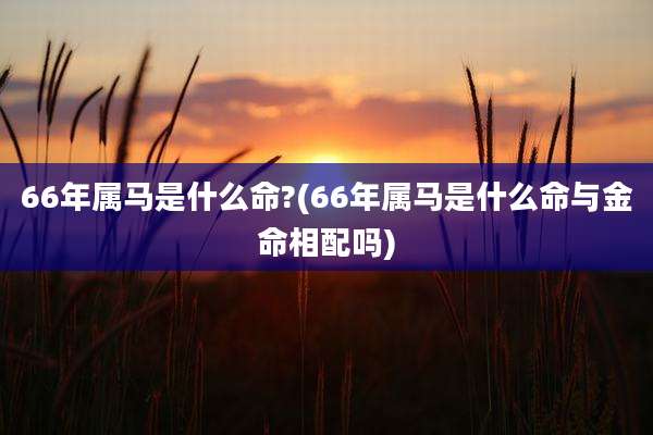 66年属马是什么命?(66年属马是什么命与金命相配吗)