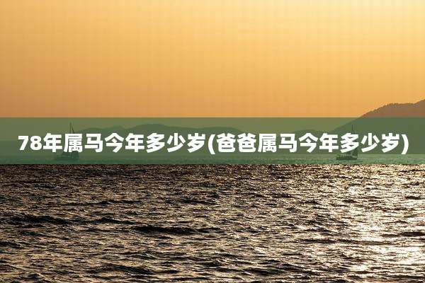 78年属马今年多少岁(爸爸属马今年多少岁)