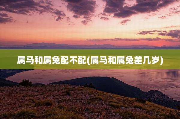 属马和属兔配不配(属马和属兔差几岁)