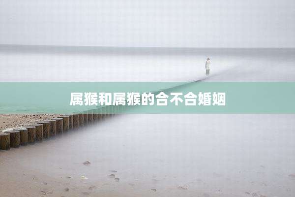 属猴和属猴的合不合婚姻