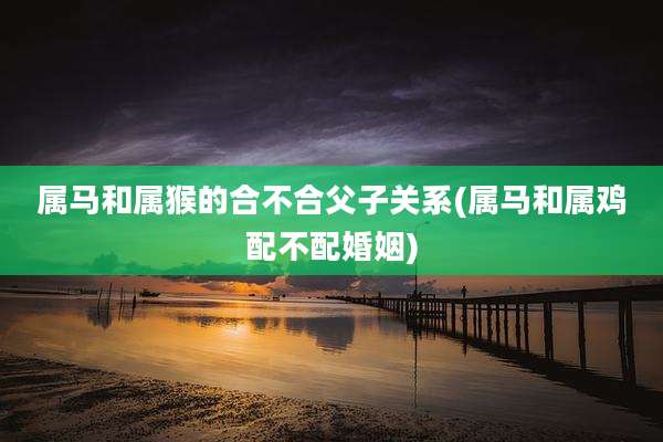 属马和属猴的合不合父子关系(属马和属鸡配不配婚姻)