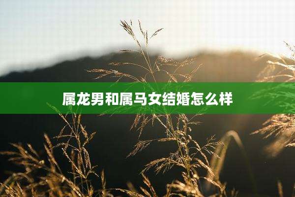 属龙男和属马女结婚怎么样