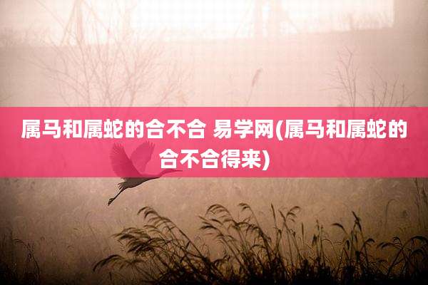 属马和属蛇的合不合 易学网(属马和属蛇的合不合得来)