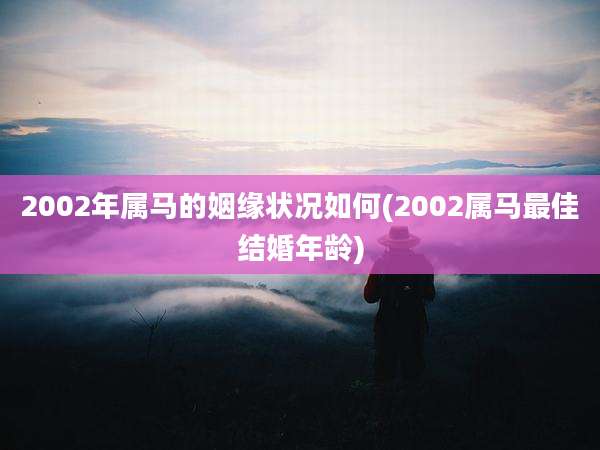 2002年属马的姻缘状况如何(2002属马最佳结婚年龄)
