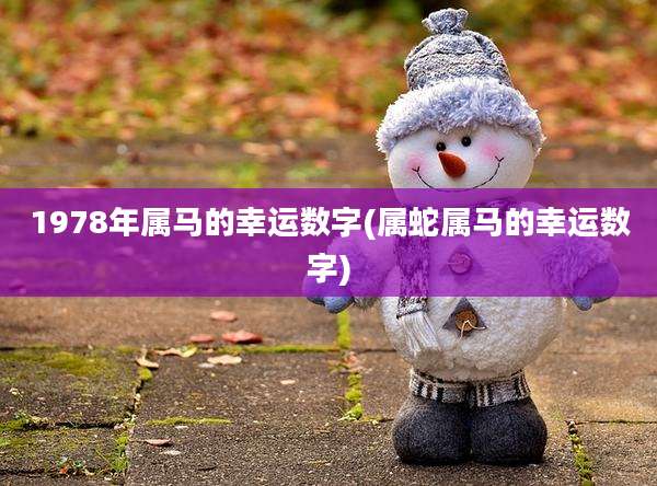 1978年属马的幸运数字(属蛇属马的幸运数字)