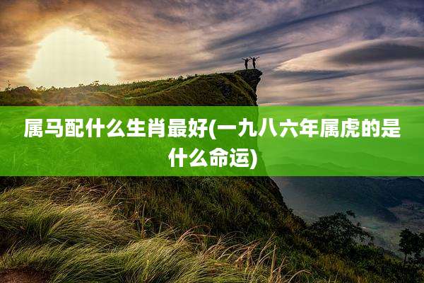 属马配什么生肖最好(一九八六年属虎的是什么命运)