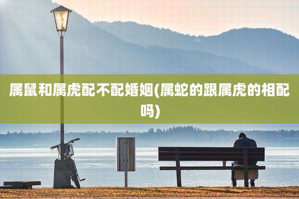 属鼠和属虎配不配婚姻(属蛇的跟属虎的相配吗)