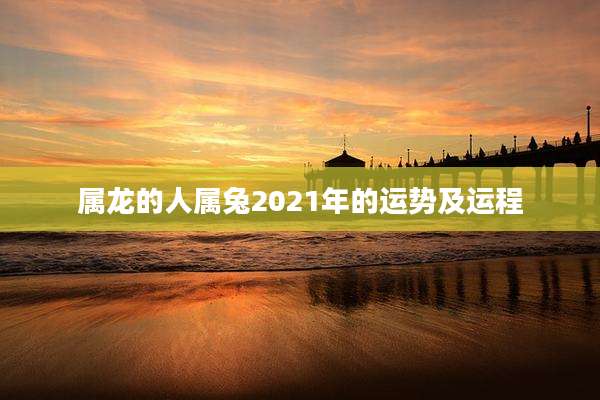 属龙的人属兔2021年的运势及运程