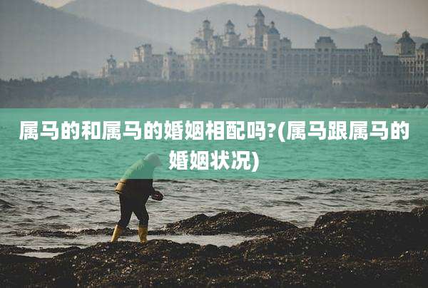 属马的和属马的婚姻相配吗?(属马跟属马的婚姻状况)