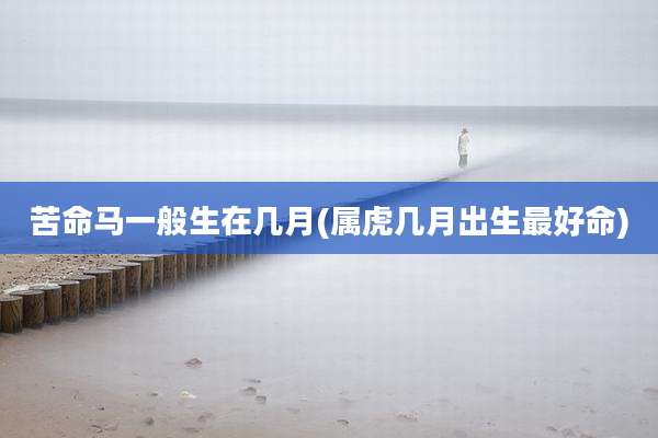 苦命马一般生在几月(属虎几月出生最好命)