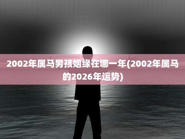 2002年属马男孩姻缘在哪一年(2002年属马的2026年运势)