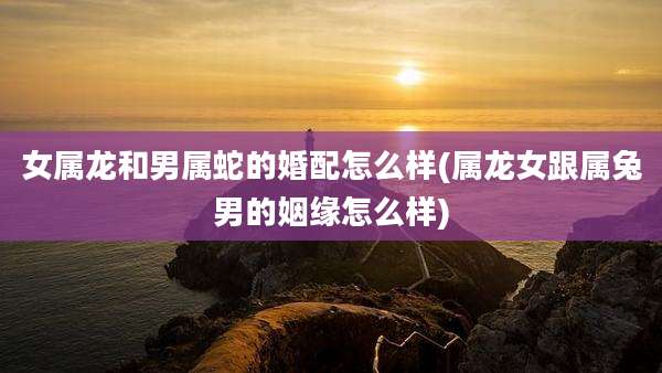 女属龙和男属蛇的婚配怎么样(属龙女跟属兔男的姻缘怎么样)