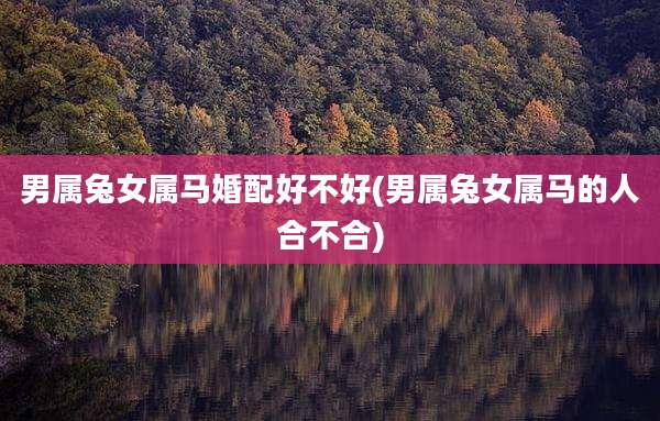 男属兔女属马婚配好不好(男属兔女属马的人合不合)