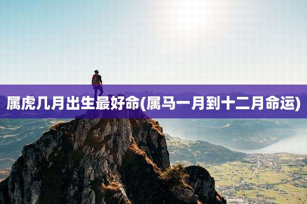 属虎几月出生最好命(属马一月到十二月命运)