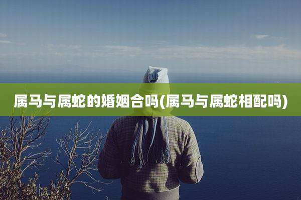 属马与属蛇的婚姻合吗(属马与属蛇相配吗)