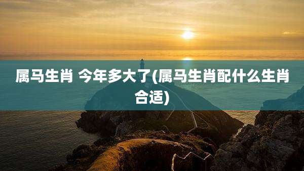 属马生肖 今年多大了(属马生肖配什么生肖合适)