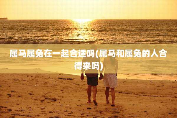 属马属兔在一起合适吗(属马和属兔的人合得来吗)