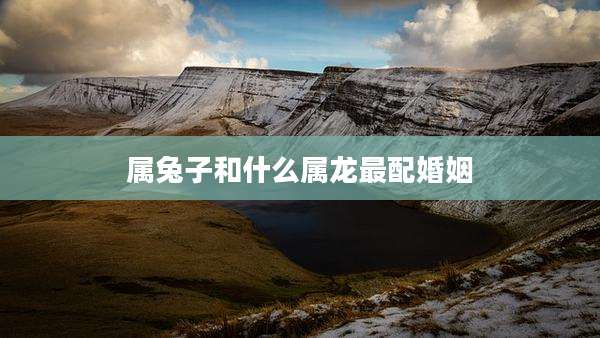 属兔子和什么属龙最配婚姻