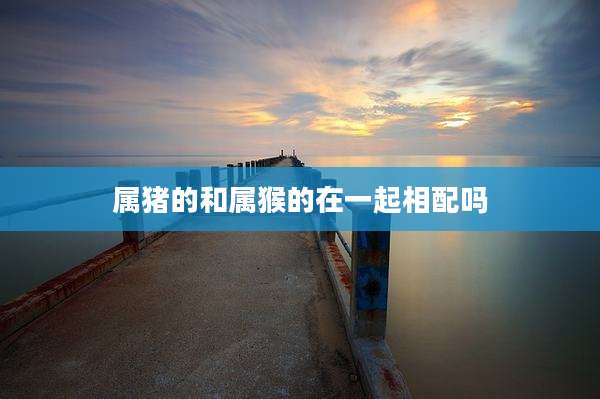 属猪的和属猴的在一起相配吗