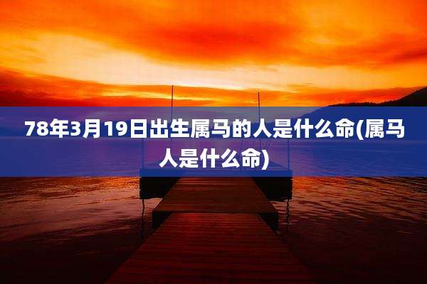 78年3月19日出生属马的人是什么命(属马人是什么命)