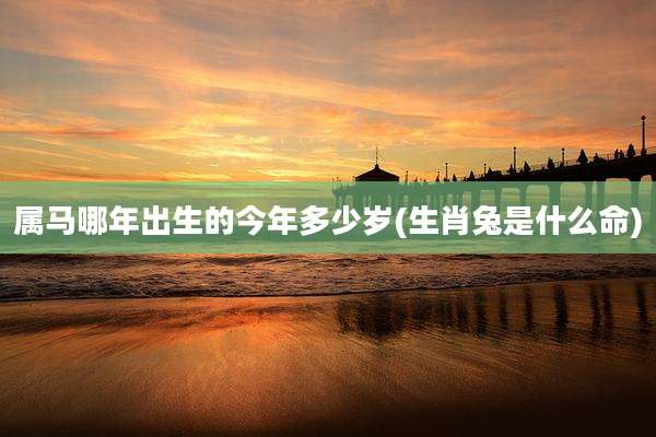属马哪年出生的今年多少岁(生肖兔是什么命)