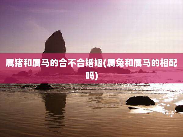 属猪和属马的合不合婚姻(属兔和属马的相配吗)