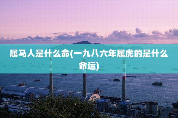属马人是什么命(一九八六年属虎的是什么命运)