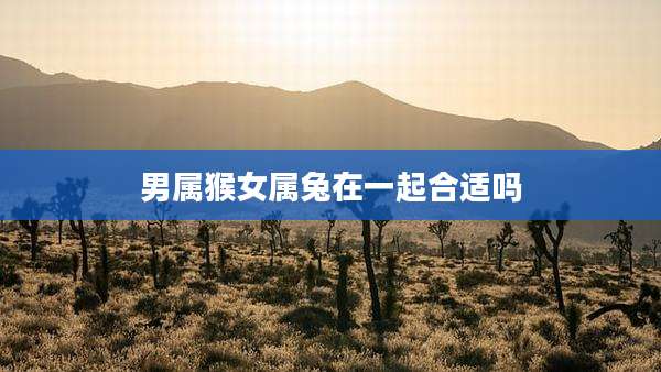 男属猴女属兔在一起合适吗