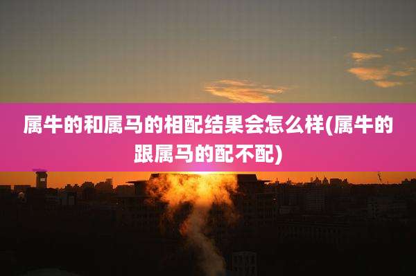 属牛的和属马的相配结果会怎么样(属牛的跟属马的配不配)