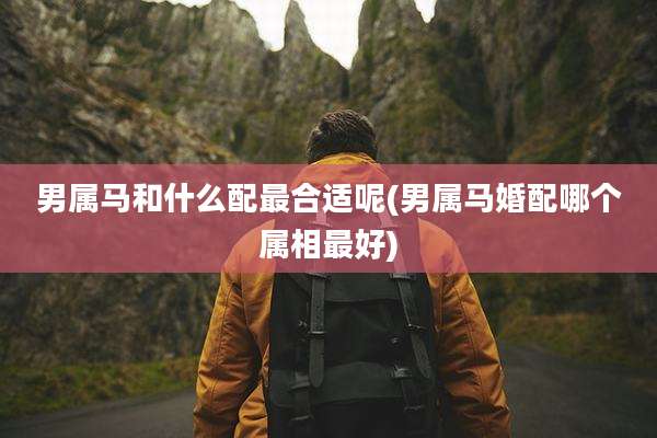 男属马和什么配最合适呢(男属马婚配哪个属相最好)