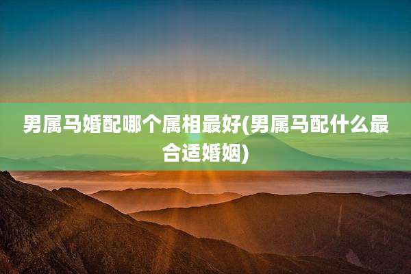 男属马婚配哪个属相最好(男属马配什么最合适婚姻)