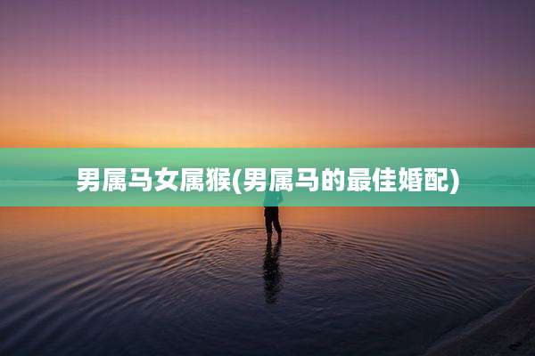 男属马女属猴(男属马的最佳婚配)