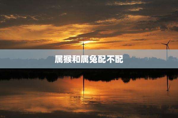 属猴和属兔配不配